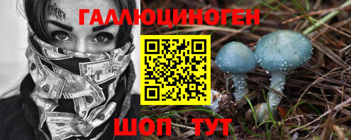 Евпатория  Псилоцибиновые грибы Cubensis  Вход с VPN  Галлюциногенные грибы Psilocybine cubensis 