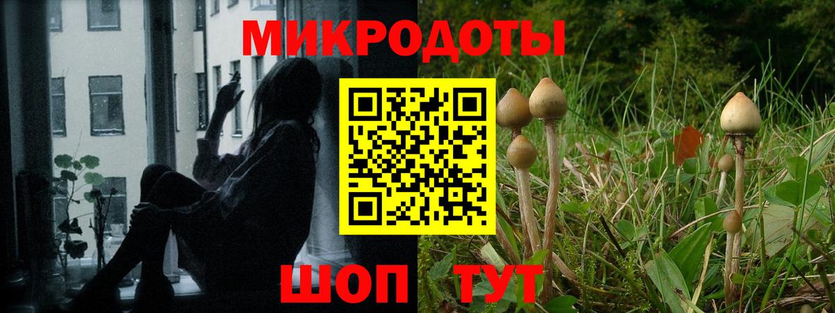 Галлюциногенные грибы GOLDEN TEACHER Евпатория